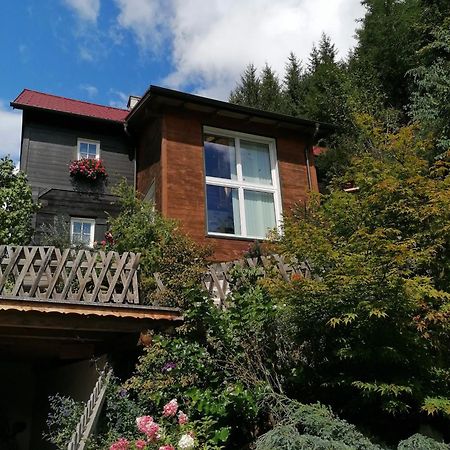 Waldhaus Klein-Veitsch, Auszeit Im Gruenen Apartman Niederaigen Kültér fotó